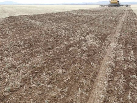 Тариалалтыг дэмжих зорилгоор 10 мянган тонн шатахуун нөөцөлжээ