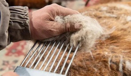 Ноолуурын дээд ханш 207 мянган төгрөг боллоо