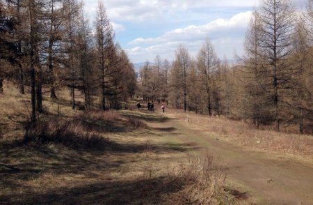 Өмнөговь, Сүхбаатар, Ховд, Говь-Алтай, Баянхонгор, Өвөрхангайд хуурайшилт нэн их байна