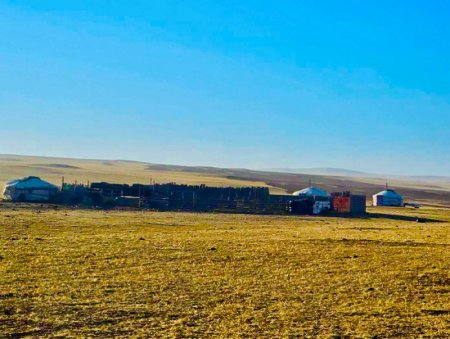 Ой, хээрийн гал түймрийн аюулаас 46 гэр, 19 өвөлжөө, хашаа саравч, 2 автомашиныг авран хамгаалжэ