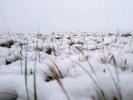 Сэлэнгэ, Дархан, Төв, Хэнтий, Булганы зүүн хэсгээр нойтон цас орно