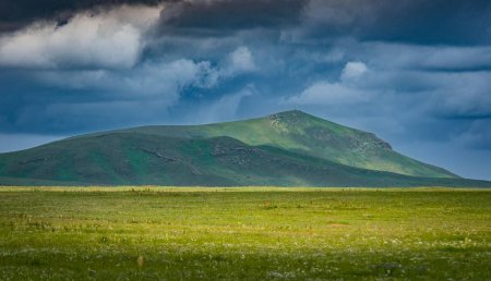 Бэлчээрийн ургамлын ургалт нийт нутгийн 50 орчим хувьд сайн, 40 орчим хувьд дунд байна
