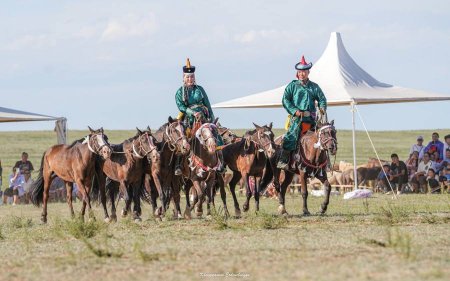 13 аймгийн баяр наадмыг урагшлуулж, зохион байгуулна