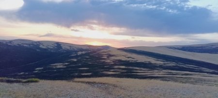Сүхбаатарын Мөнххаан суманд гарсан хээрийн түймрийг бүрэн унтраалаа