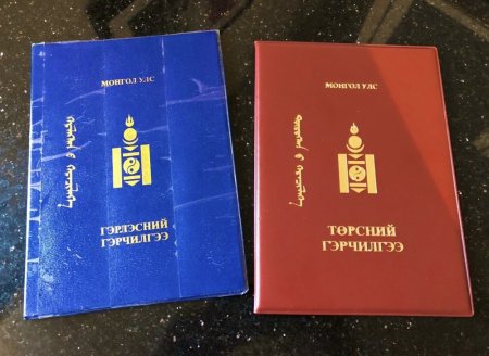 Огт байгаагүй хүүхдийг төрсний бүртгэлд бүртгүүлж, 18 жил хүүхдийн мөнгө авчээ
