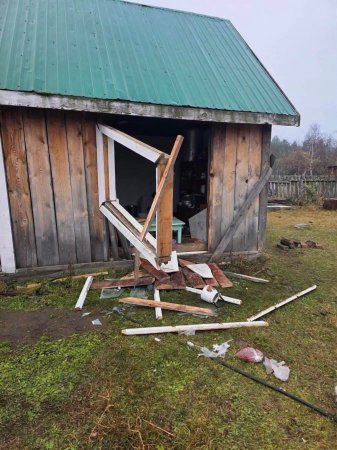 Сэлэнгэ аймгийн 10 суманд хүрэн баавгай 86 удаа үзэгдэж, 162 толгой мал барьжээ