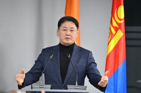 сонин mn