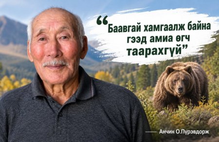 Анчин О.Пүрэвдорж: Баавгай хамгаалж байна гээд амиа өгч таарахгүй