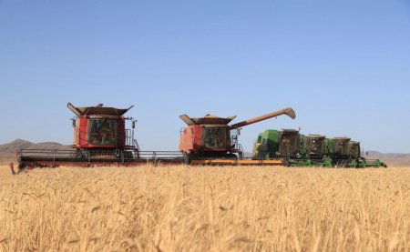 Ургац хураалт 87 хувьтай үргэлжилж байна гэв